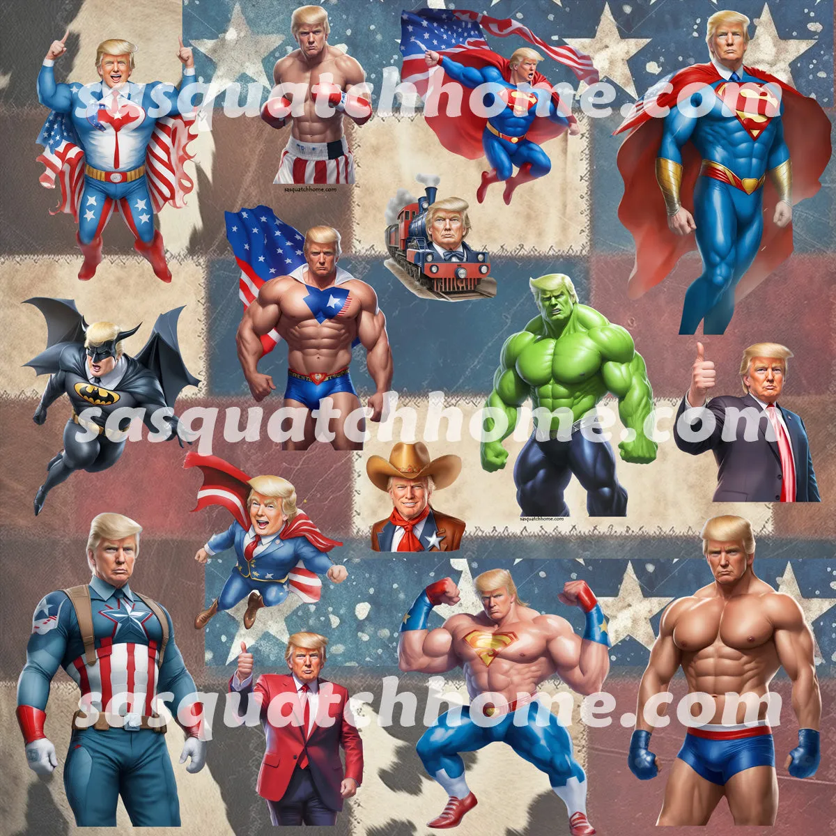 Donald Trump Themed Boys / Teen Boxer Briefs Underwear