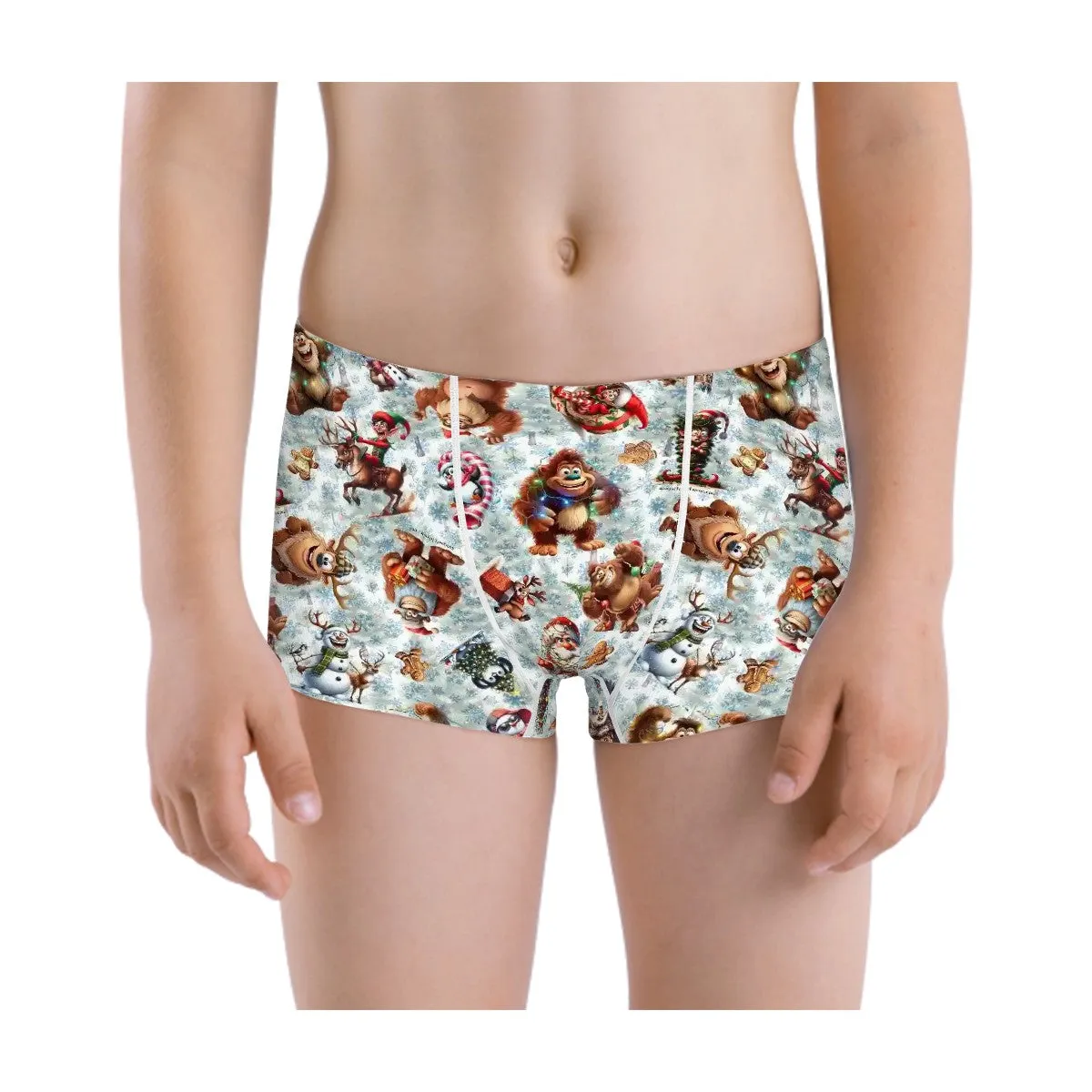 Sasquatch, Bigfoot Themed Boys Teen Boxer Briefs Underwear